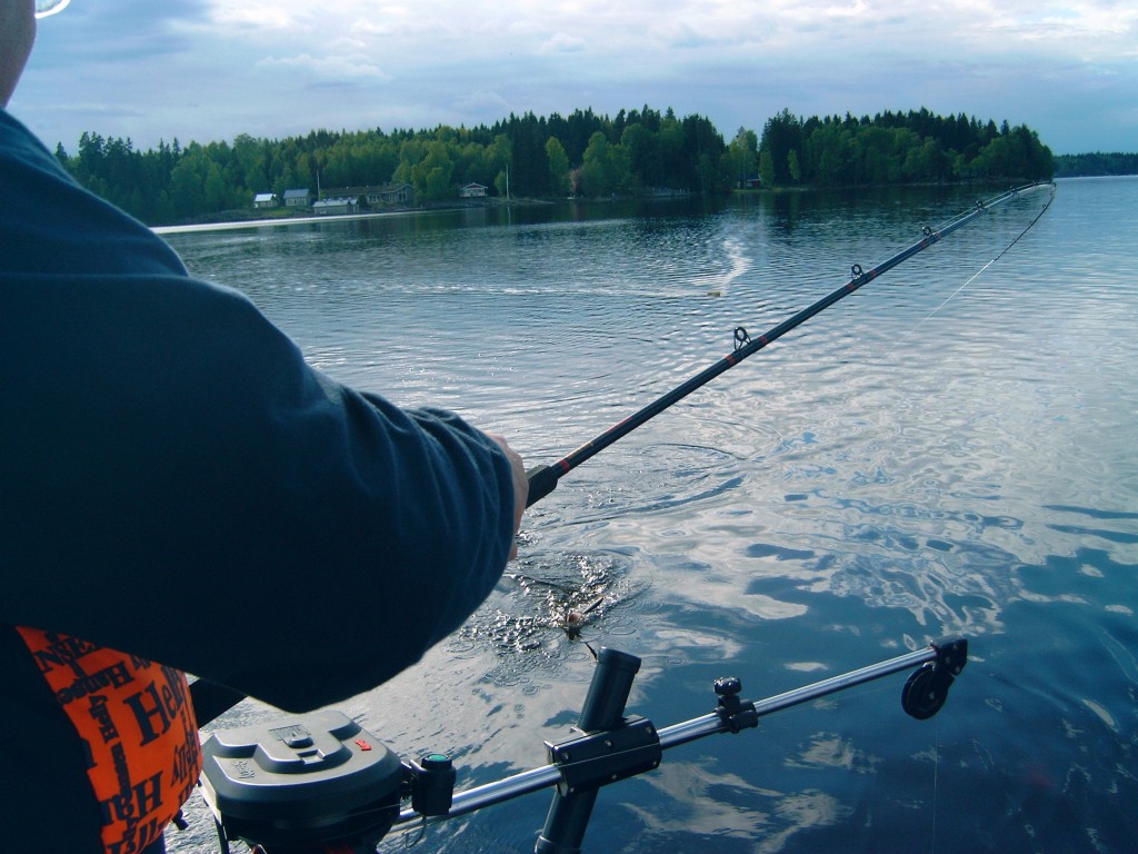 BOLMEN-TROLLING 2004 BOLMEN-TROLLING 2004 Angeln im Bolmen, Schleppen im Bolmen, Guide Downrigger