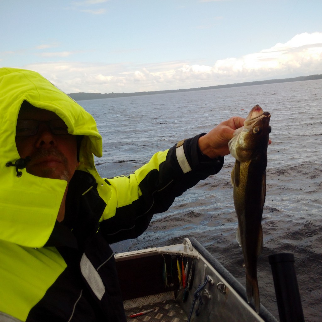 KÖSEN-TROLLING 2015 KÖSEN-TROLLING 2015 Zander schleppen