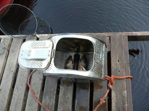 ÖRESJÖN-TROLLING 2008 Fische hältern Waschmaschinentrommel