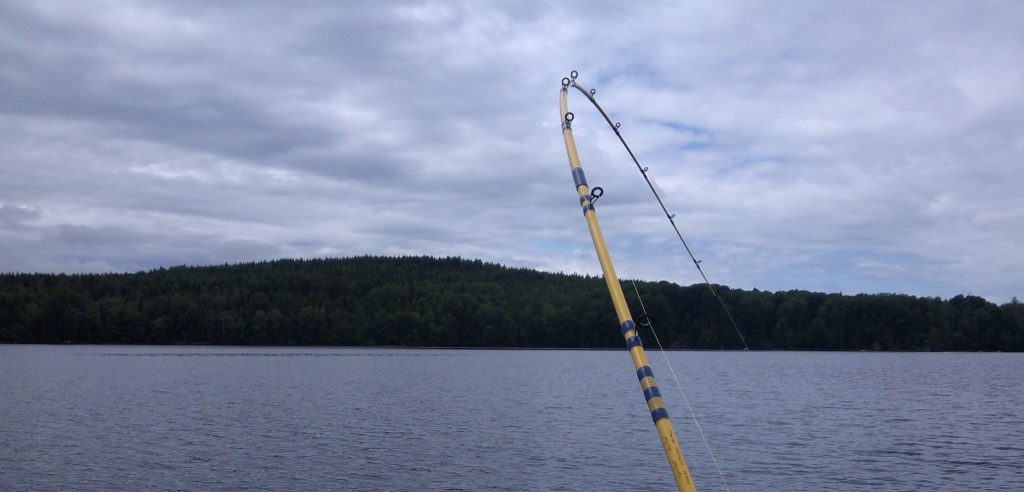 Sommen Sommen Sommensee Angeln Trolling Downrigger