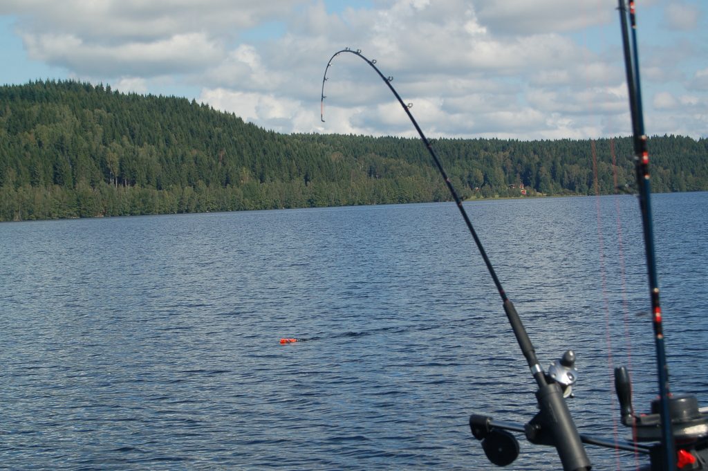 ÖRESJÖN-TROLLING 2014/2015 ÖRESJÖN-TROLLING 2014/2015 Downrigger Sideplaner