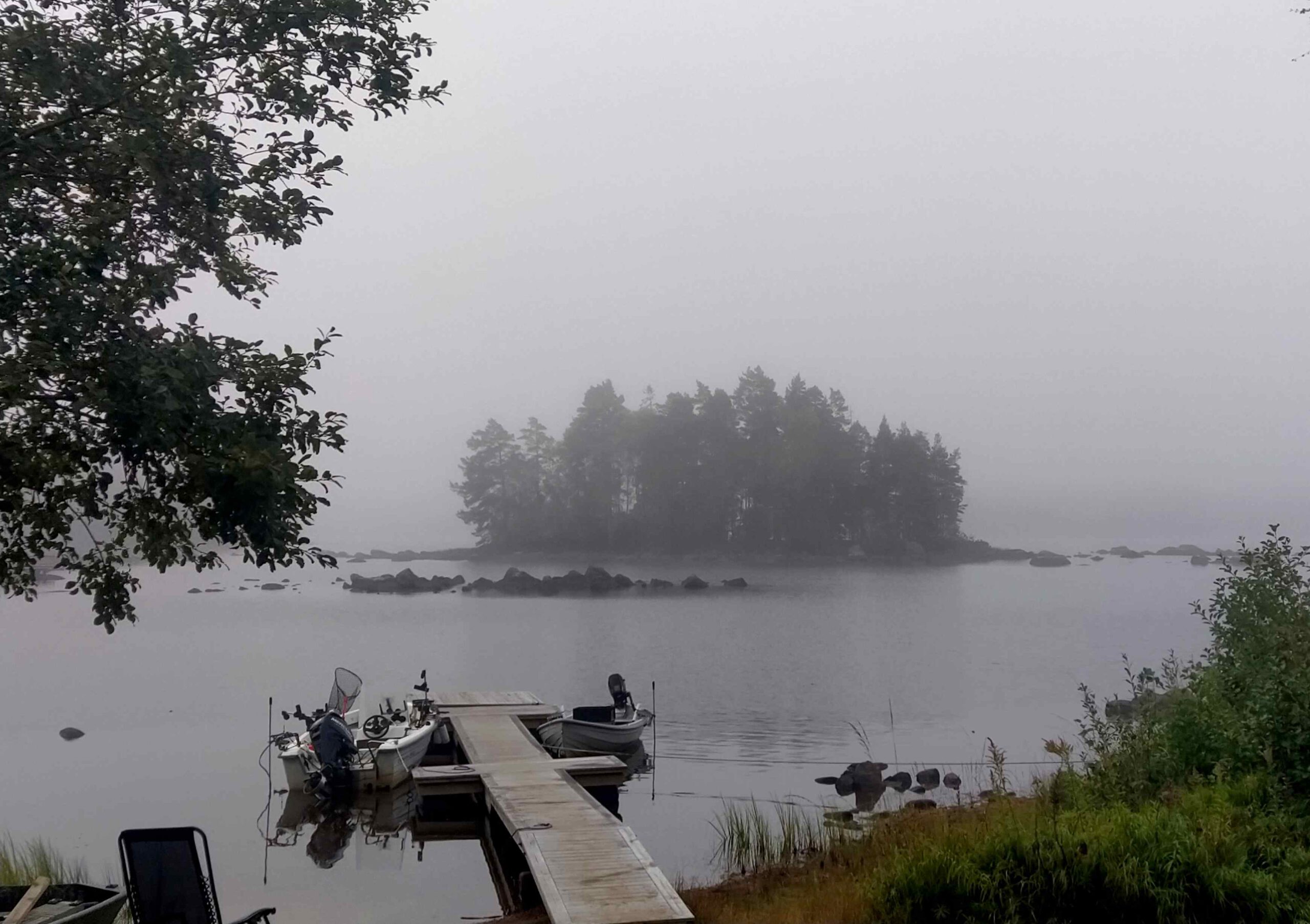 ROTTNEN-TROLLING 2023 Morgennebel