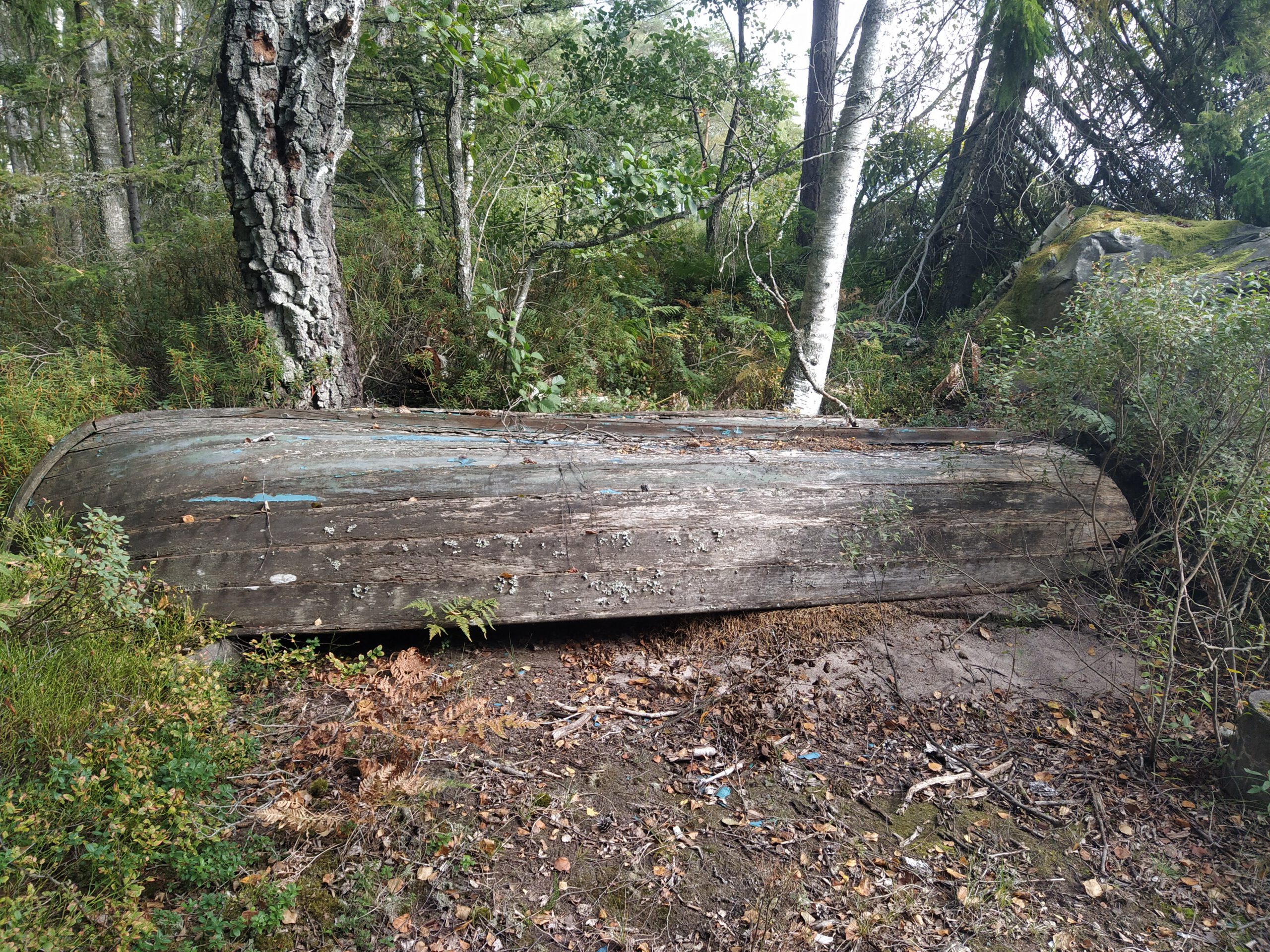 ROTTNEN-TROLLING 2023 altes verrottetes Boot