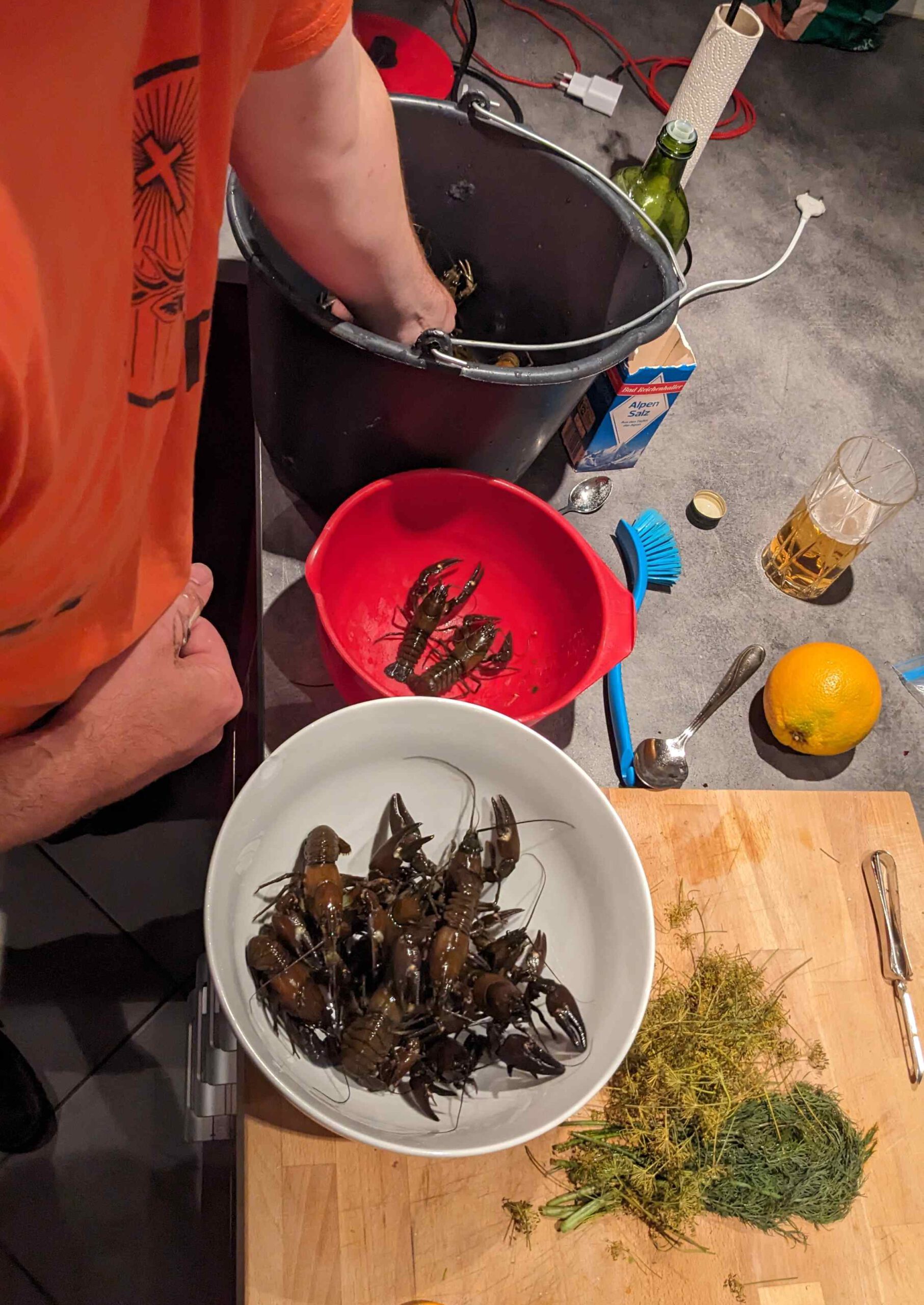 ROTTNEN-TROLLING 2023